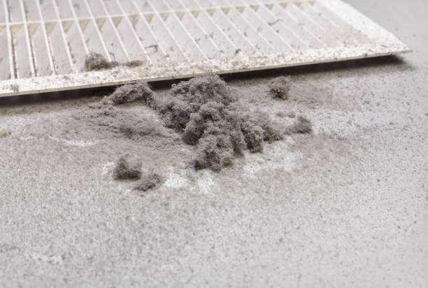 Best Professional Duct Cleaning Services  in South Valley Stream, NY