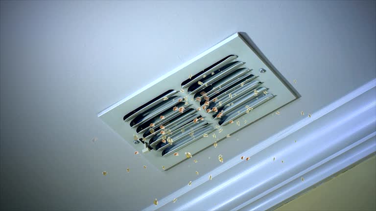 Best Affordable Air Duct Cleaning  in South Valley Stream, NY