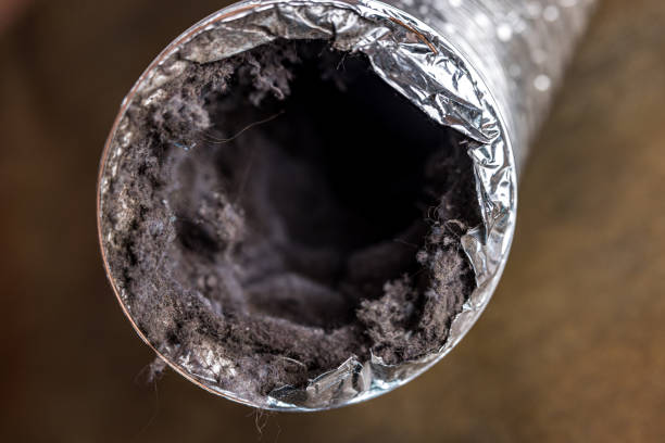 Best Air Duct Cleaning Company Near Me  in South Valley Stream, NY