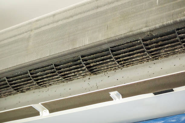 Best Air Vent Cleaning Services  in South Valley Stream, NY