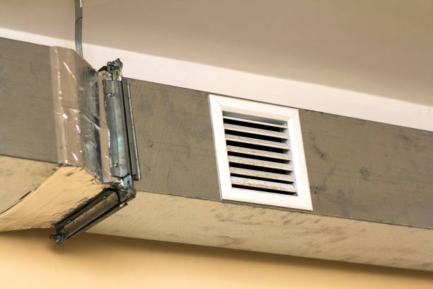 Best Professional Duct Cleaning Services  in South Valley Stream, NY